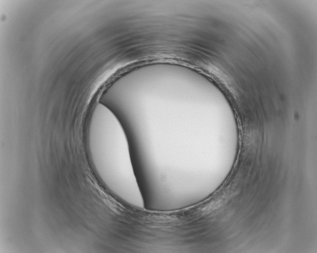 X0000088371023200705220712