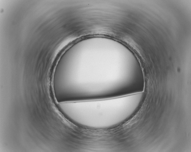 X0000088371024200705220712