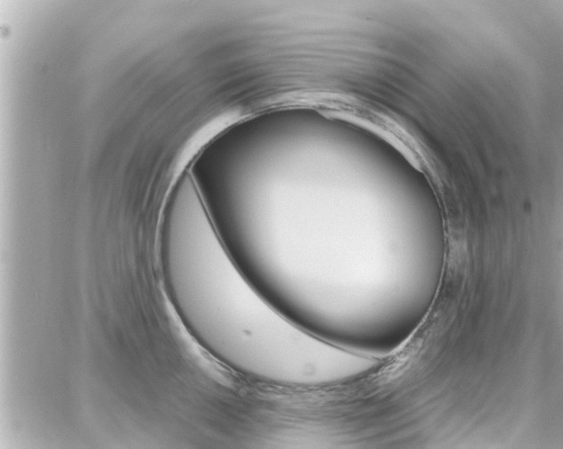 X0000088371050200705220712