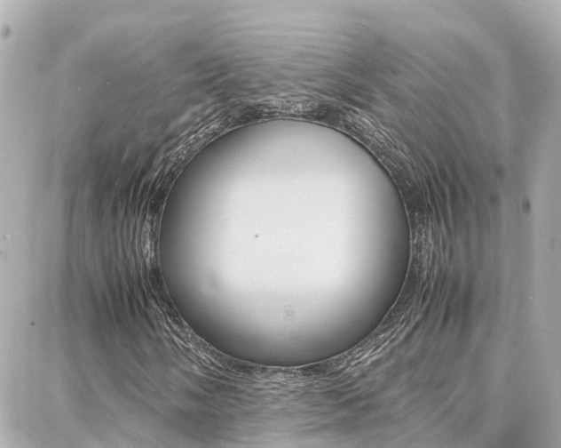 X0000088371058200705220711
