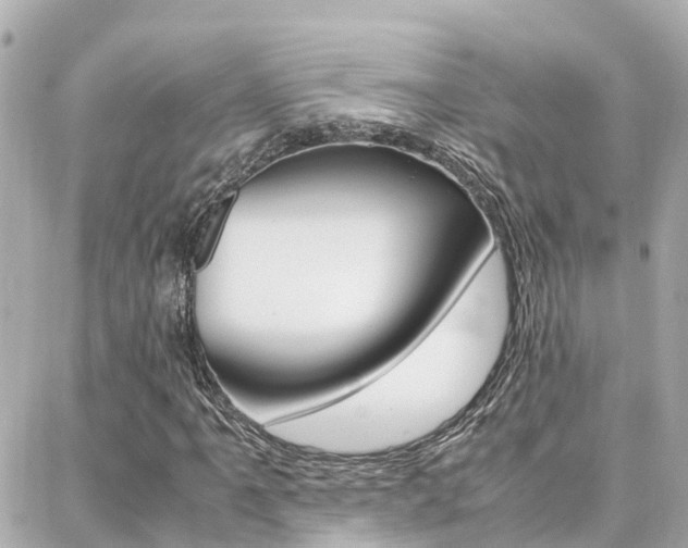 X0000088371061200705220711