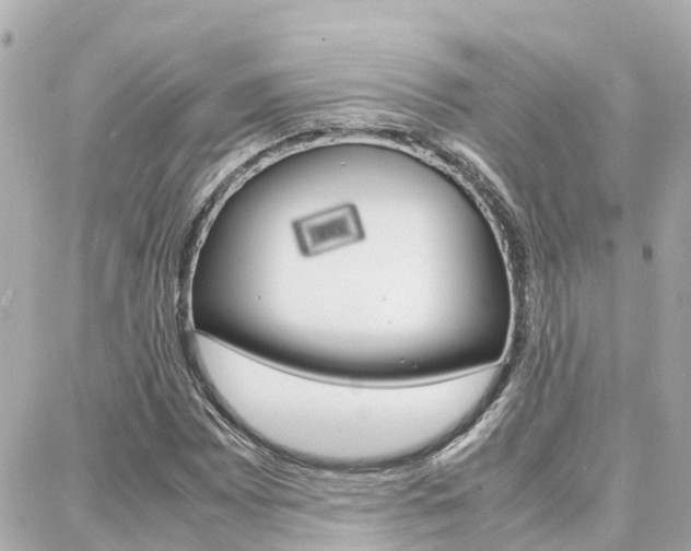 X0000088371065200705220711