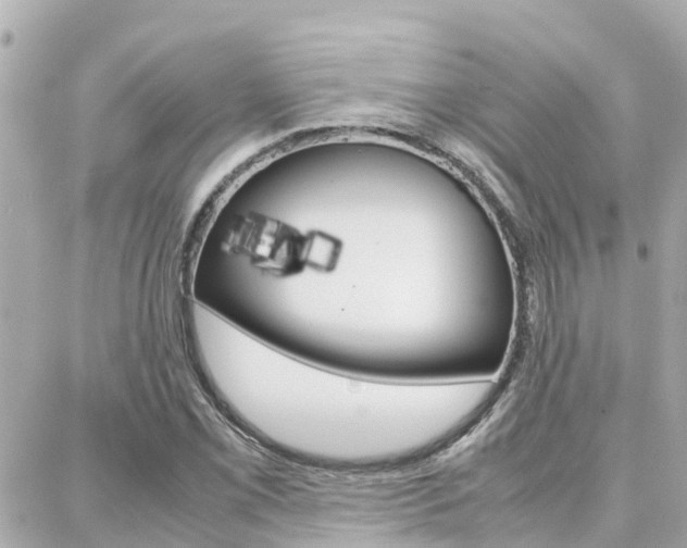 X0000088371069200705220711