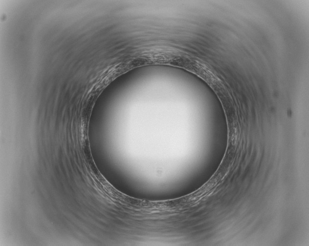 X0000088371108200705220710