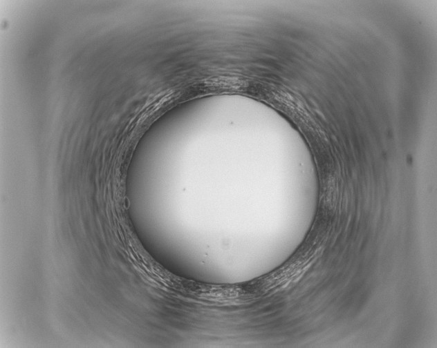 X0000088371201200705220708