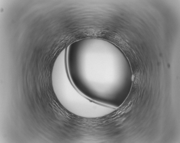 X0000088371202200705220708