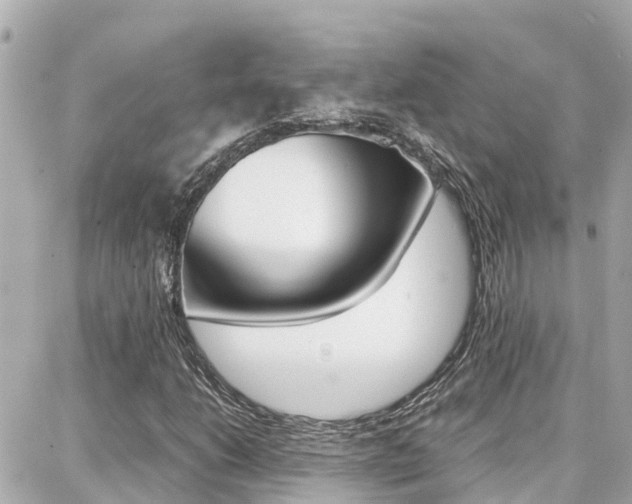 X0000088371206200705220708