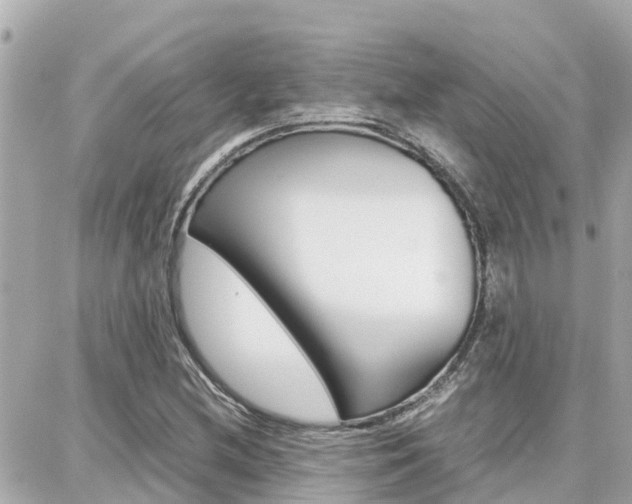 X0000088371212200705220709