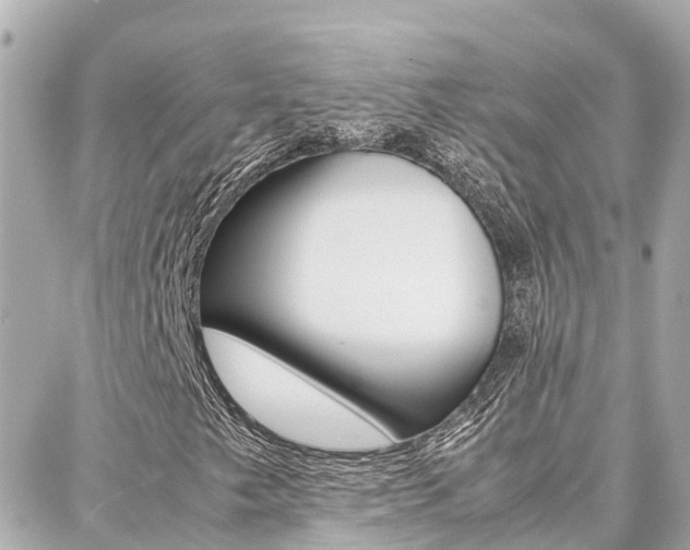 X0000088371249200705220708