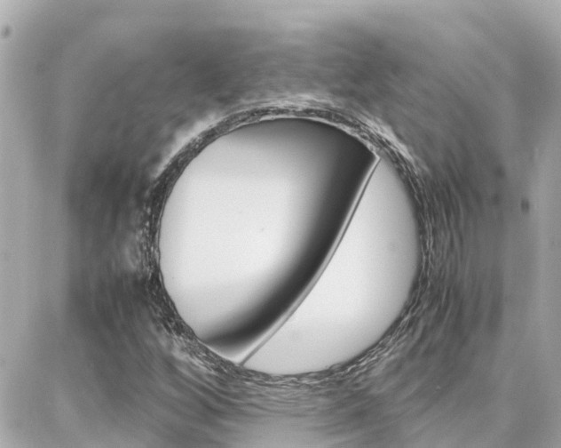 X0000088371256200705220708