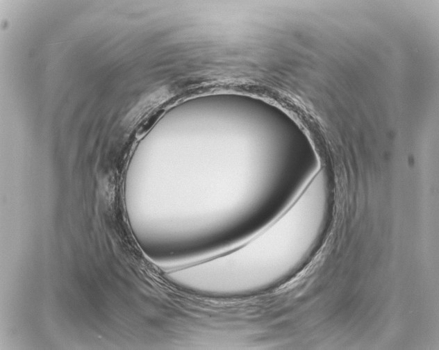 X0000088371257200705220708