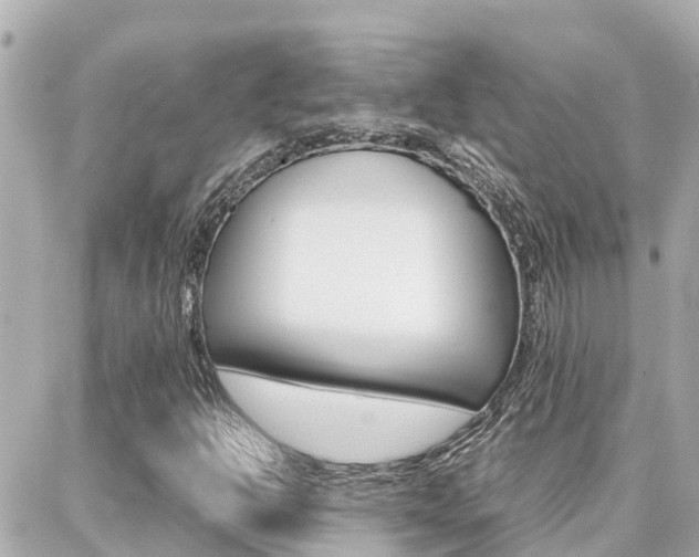 X0000088371302200705220707