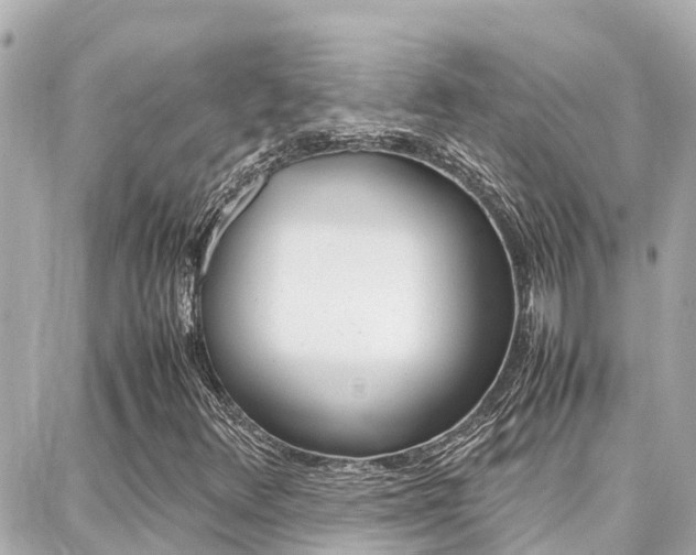X0000088371348200705220707