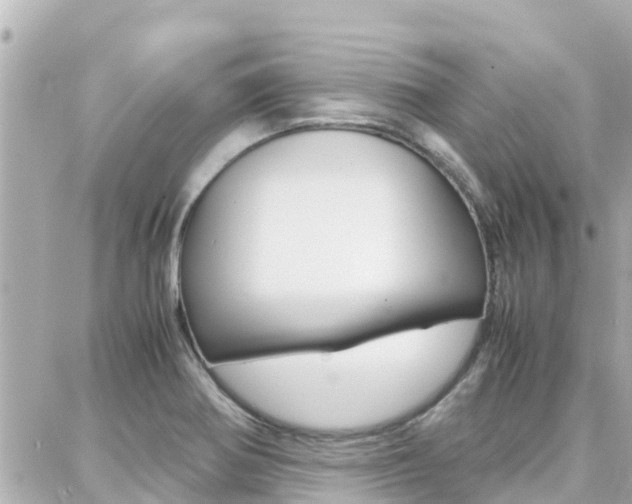 X0000088371370200705220706