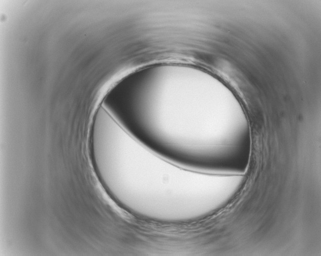 X0000088371379200705220706