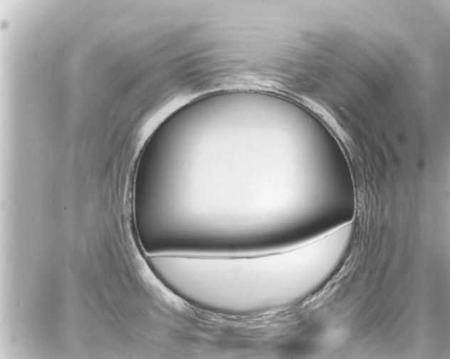 X0000088371387200705220706