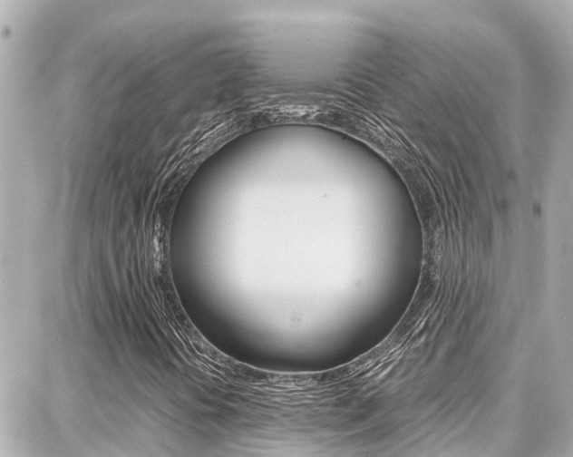 X0000088371394200705220705