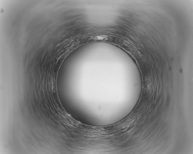 X0000088371442200705220705