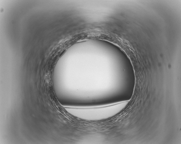X0000088371445200705220705