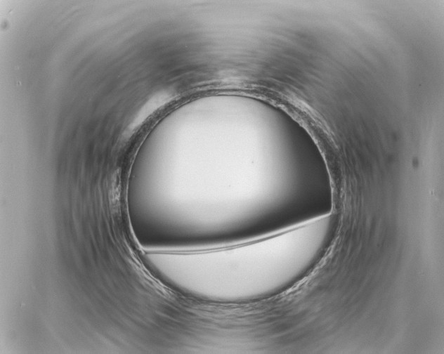X0000088371450200705220705
