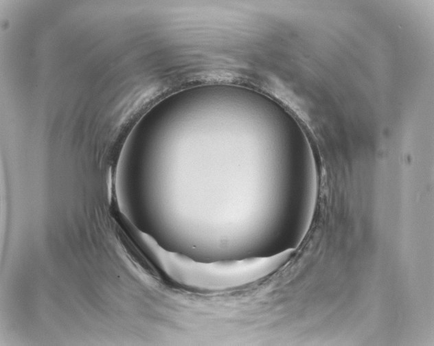 X0000088370013200705221108