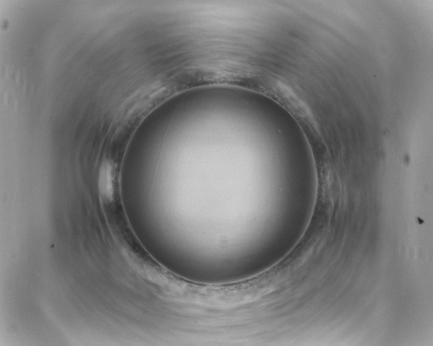 X0000088370026200705221107