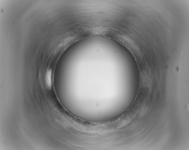 X0000088370028200705221107