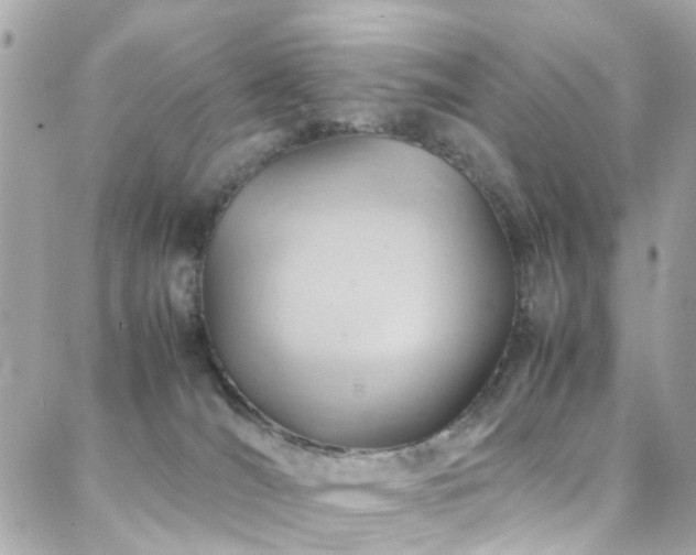 X0000088370036200705221107