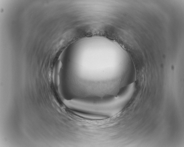 X0000088370039200705221107