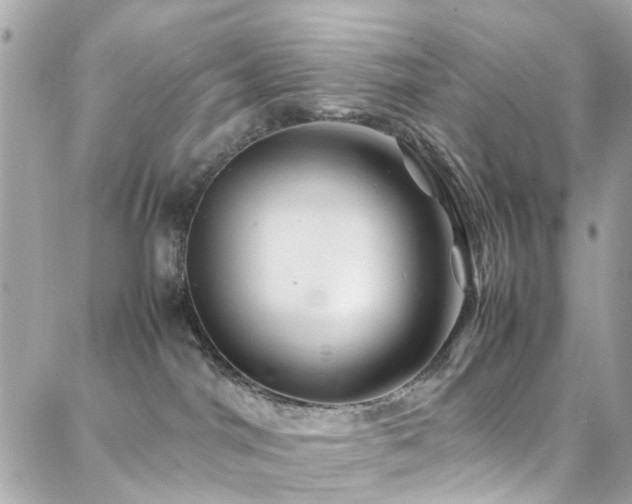 X0000088370044200705221107
