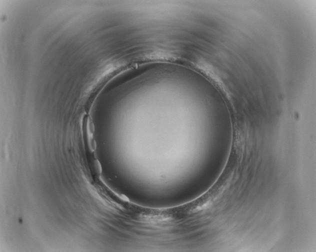 X0000088370063200705221107