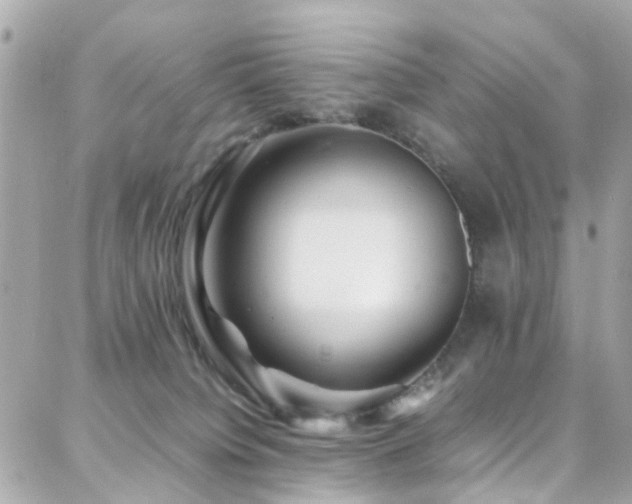 X0000088370084200705221107