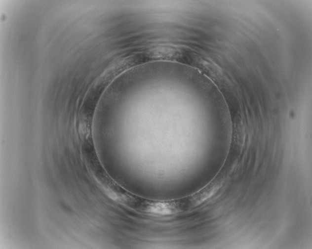 X0000088370091200705221107