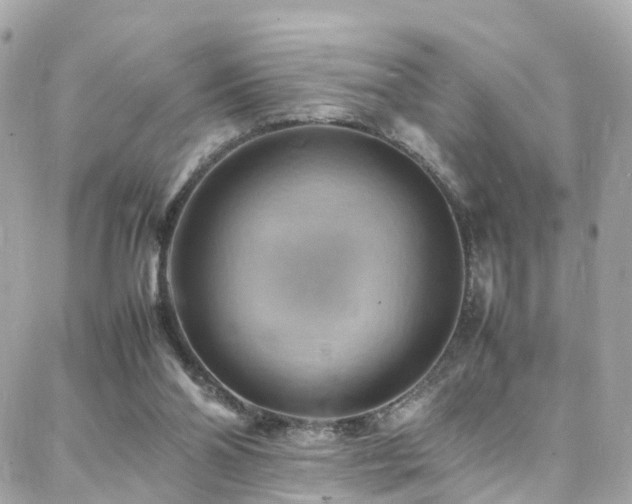X0000088370110200705221106