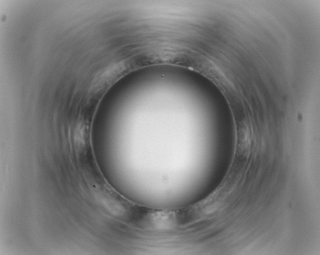 X0000088370126200705221106