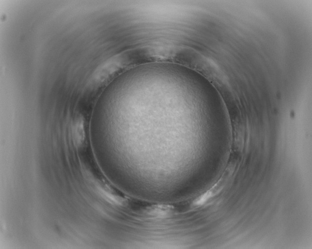 X0000088370128200705221106