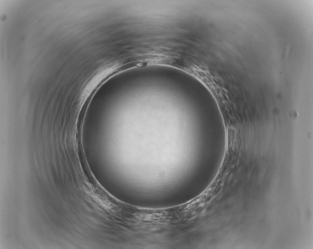 X0000088370147200705221105
