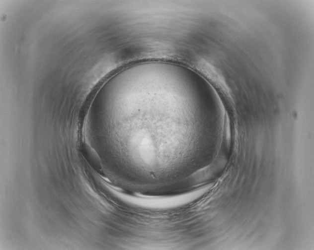 X0000088370156200705221105