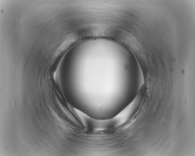 X0000088370164200705221105