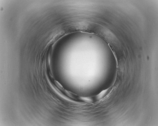 X0000088370172200705221105