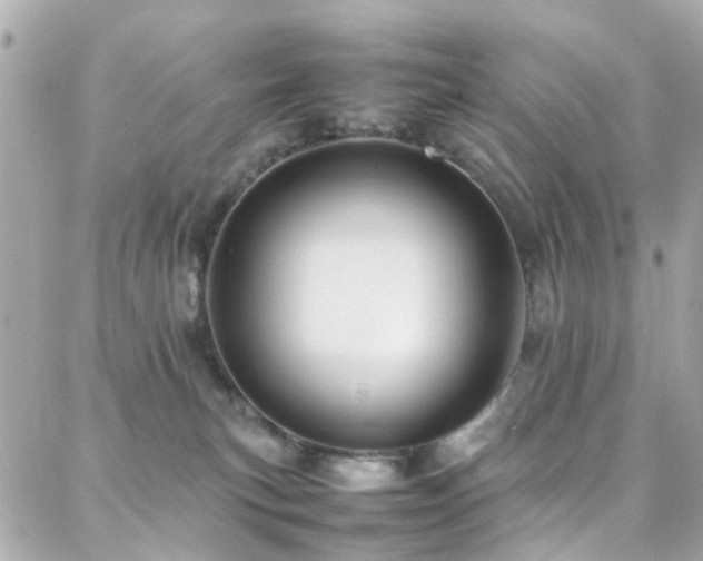 X0000088370183200705221105