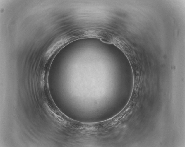 X0000088370194200705221105