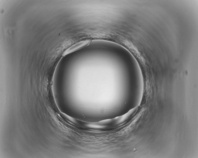 X0000088370201200705221105