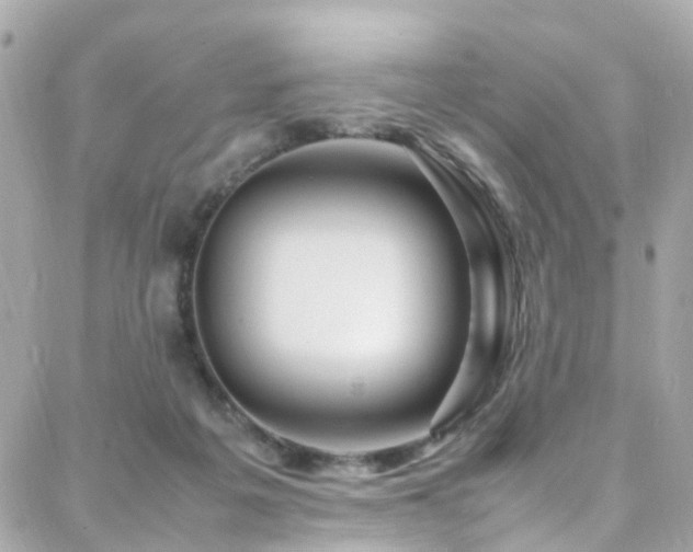 X0000088370217200705221104
