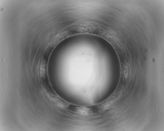 X0000088370226200705221104