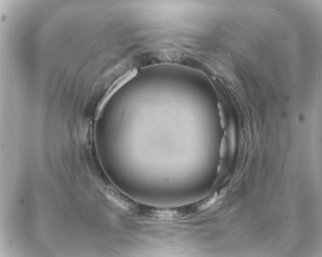 X0000088370233200705221104