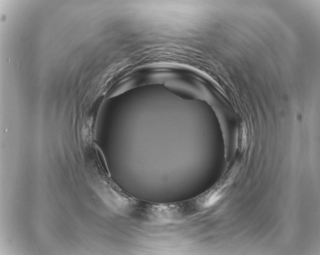 X0000088370239200705221104