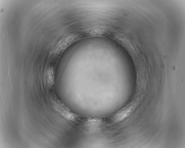X0000088370240200705221104