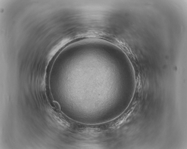 X0000088370292200705221103