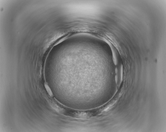 X0000088370301200705221103
